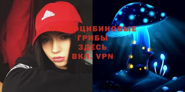 MESCALINE Богородицк