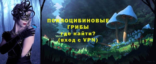 гашиш Богданович