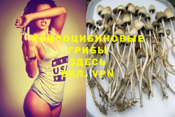 MDMA Белокуриха