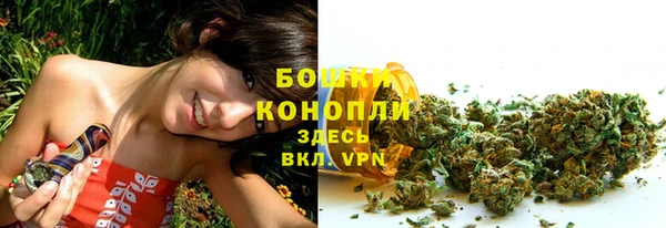 прущие крисы Белоозёрский